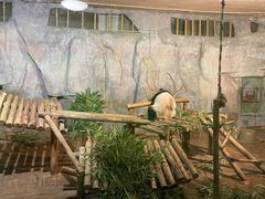 -深圳野生动物园