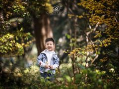 -八大关景区