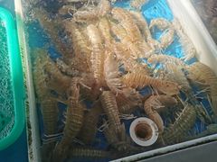 -南沙十九涌渔人码头-南门