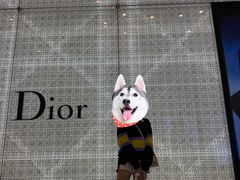 -Dior迪奥(国贸商城店)