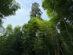 -仙霞关景区