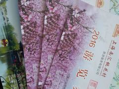 -南汇桃花村