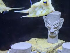 -欢乐海岸海洋奇梦馆