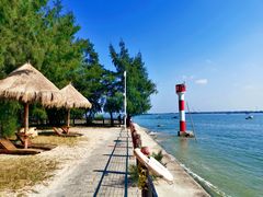 -北海金海湾红树林生态旅游区