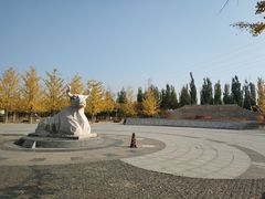 -永定河休闲森林公园