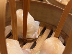 -金鼎轩(方庄天坛店)