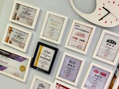 -喵的天空名猫咖啡馆·撸猫·猫舍·用品