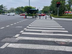 -云溪植物园