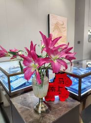 -Cindy Jewelry·钻戒·彩色宝石