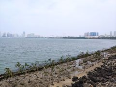 -万绿园