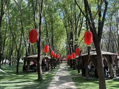 -草根堂农场