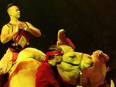 -珠海横琴长隆《卡卡虎奇遇记》