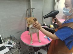 -宠福鑫康馨动物医院·骨科·眼科
