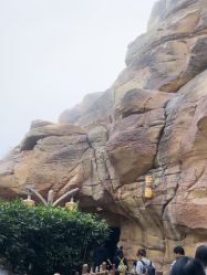 -翱翔飞越地平线