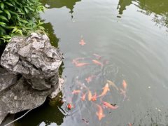 -扬州瘦西湖汇金酒店