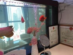 -北京米扬丽格医疗美容·联合丽格鼻整形中心