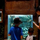 夏天来了，快和我一起来桂林融创玩水吧！