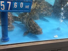 -麦德龙(郑东店)