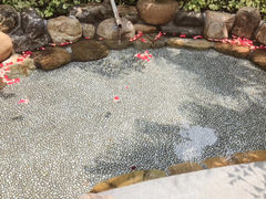 -厦门日月谷温泉渡假村