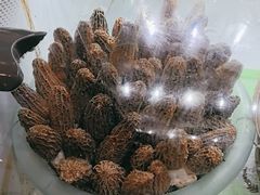 -野菌王•养生汤锅•野生菌火锅(大理漾濞路店)