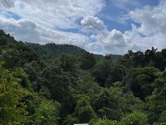-野象谷景区