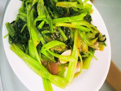 -新陶陶酒家