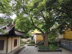 -阿育王寺