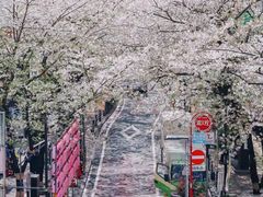 -西武百货(涩谷店)