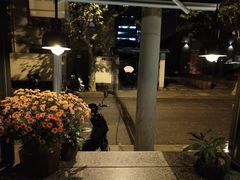 -Apollo·西班牙小酒馆(安福路店)