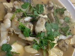 豆腐狗鱼-煲来饱去冷水鱼
