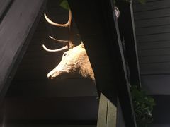 -有才叔的小馆(招商依云曲江店)