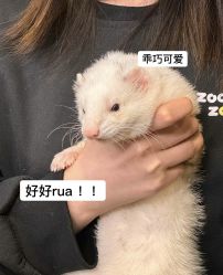 -Zoolung Zoolung动物主题公园(海信广场店)