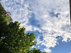 -北京西山国家森林公园