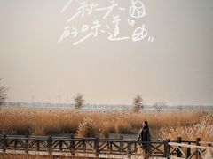 -野鸭湖国家湿地公园