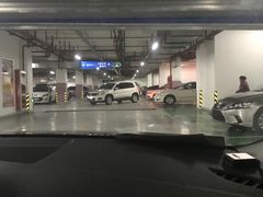 -家乐福南翔店停车场