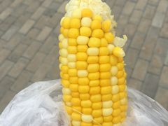 -扁都口生态休闲旅游区