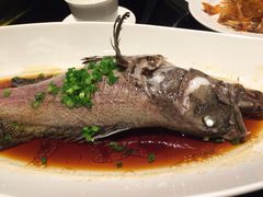 外高桥喜来登酒店采悦轩-外高桥喜来登酒店采悦轩