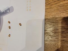 -宋小谨(惠安禹洲店)