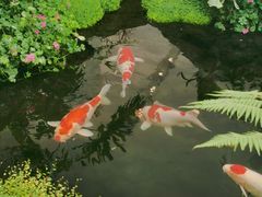 -罗红摄影艺术馆