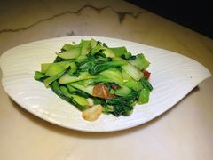 油渣上海青-韵秋荷(宝山龙湖天街店)