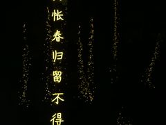 -大雁塔文化休闲景区-北广场