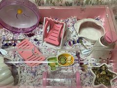 -钓仓鼠(洋桥北里小区店)