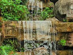 -广州神农草堂中医药博物馆