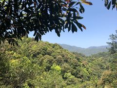 -九龙江国家森林公园