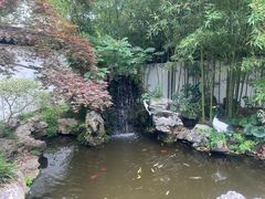 -上海醉白池公园