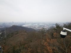 -紫金山山顶公园