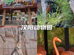 -汉水谣·江景餐厅(江滩店)