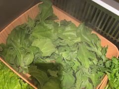 -牛New寿喜烧(金鹰世界店)