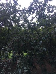 -大望京儿童游乐场