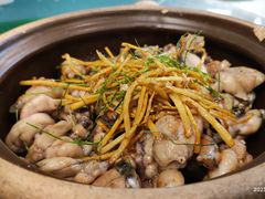 -六婶西关小厨(光塔路店)